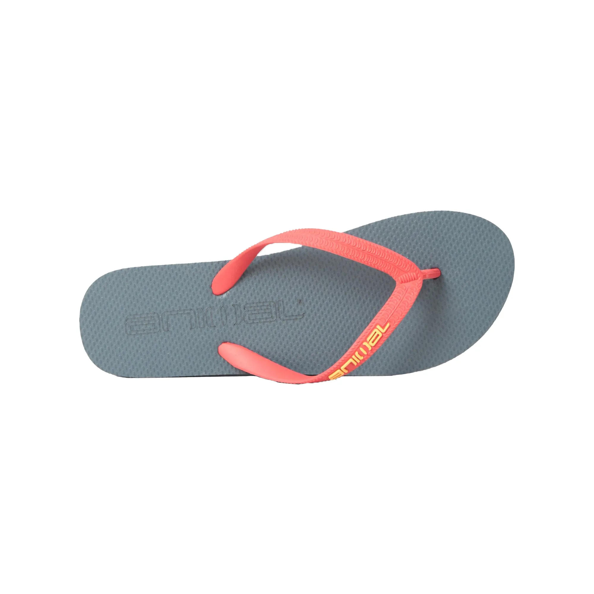 Animal Mens Oceana Flip Flops