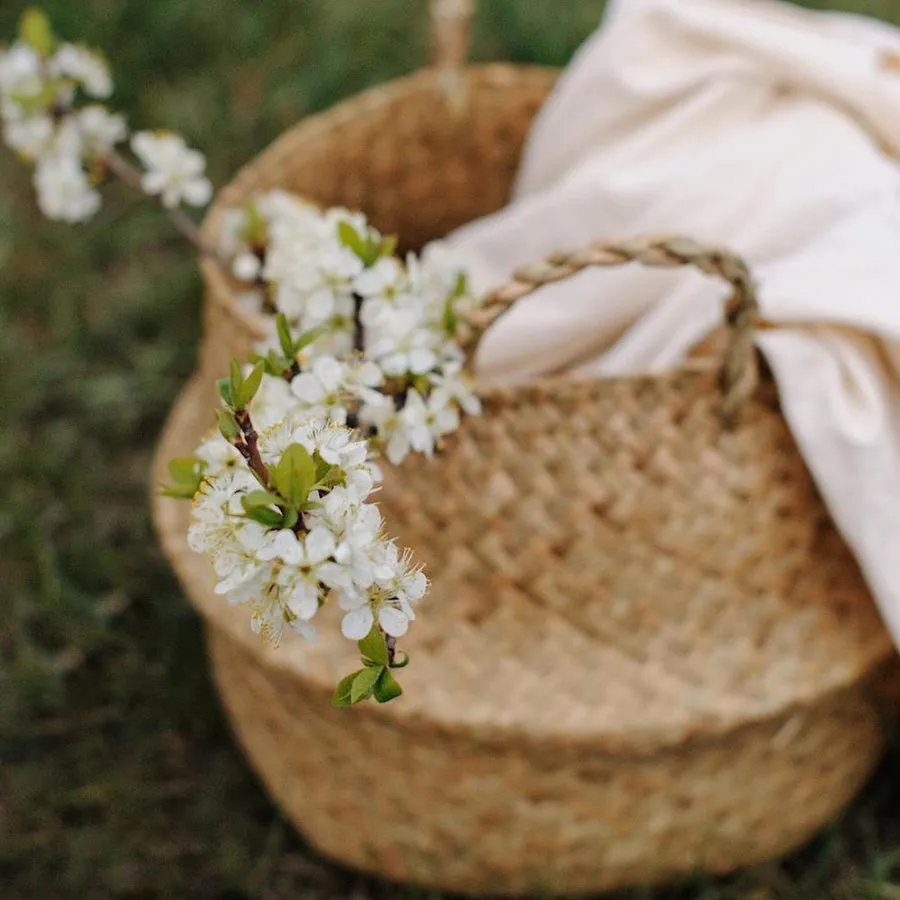 Natural Seagrass Belly Basket