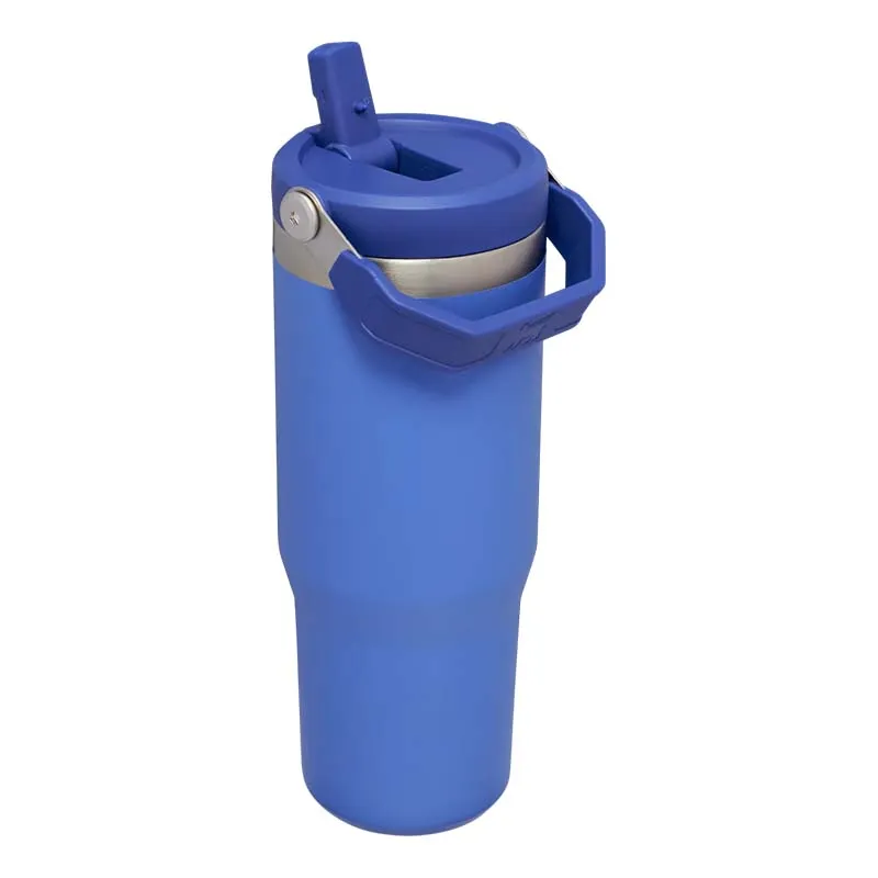 The 30oz IceFlow Flip Straw Tumbler in Iris